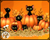 Halloween Cat & Pumpkin