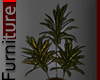 Dark Tropical Plant