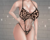 KTN Hot Leopard Bikini F