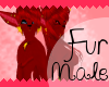 [EP]Red Star Fur [M]