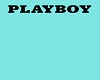 Playboy Photo Background