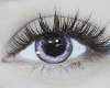 Eyes Because Purple
