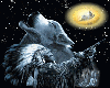wolf and cheif