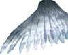 Cloudy Angel Wings