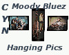 The Moody Bluez Pics