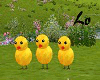 Easter Chicks Dance