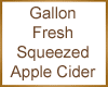 Gallon of Apple Cider