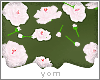 Y{ white roses on floor}