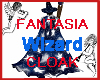 Fantasia Wizard Cloak