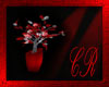 CR Valentine Red Plant