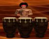 {XYB} CONGAS (C1 TO C12)