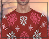 N. Winter Sweater Red
