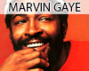 ^^ Marvin Gaye DVD