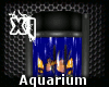 [Xi] Aquarium