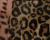 Clutch Leopard