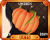 [Pets] Jackie | pumpkin