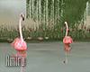 2 Lake Flamingo I