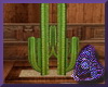 Western Cactus Planter