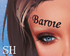BARBIE Eyebrows