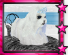 ☆ Ice Princess Puppy