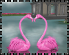 "Lake Flamingos