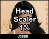 Head Scaler 1%