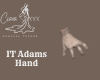 IT Adams Hand