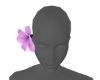 JC HEAD FLOWER LP