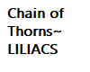 chain of thorns~Liliacs
