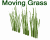 MOVING GRASS