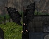 Black Dragon Wings