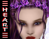 Crown of Roses Purple