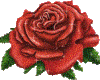 {*}Red Rose{*}