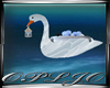 Sensations Swans Float