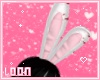 ℓ playbunny ears red