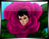 Lady  Rose Purple