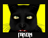 Black Cat [Mx.]
