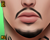 r. Mustache Beard