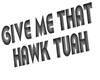 Hawk Tuah headsign