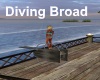 [BD]Diving Broad