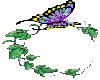 Butterfly on a vine
