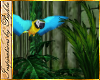 I~Jungle Macaw+Perch