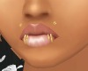 Double Lip Ring Gold