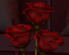 ☽ Glass Rose [RED]