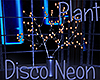 [M] Disco Neon Plant