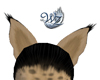 Cagon Ears - Cheetah