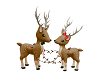 Reindeer Love