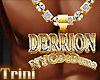 DERRION Necklace(custom)