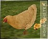 ɦɱ. Chicken
