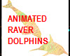 Raver Dolphins pairANIM